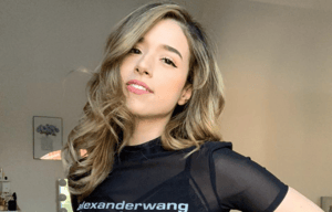 This is the Avatar Image for the Pokimane AI Voice and Text to Speech Generator